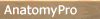AnatomyPro