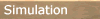 Simulation