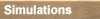 Simulations